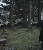 181.jpg