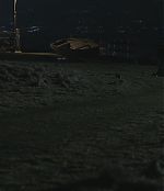 286.jpg