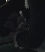 Filename=690.jpg
Filesize=76KiB
Dimensions=1920x816
Date added=Oct 17, 2024 690.jpg