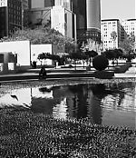 Filename=1486.jpg
Filesize=70KiB
Dimensions=624x336
Date added=Jan 25, 2024 1486.jpg