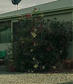 Filename=264.jpg
Filesize=256KiB
Dimensions=1920x800
Date added=Oct 30, 2024 264.jpg